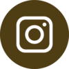 instagram icon