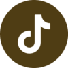 tiktok icon